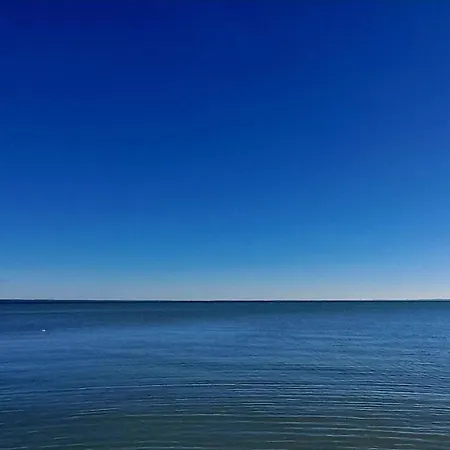 Napvirag - Koezel Mindenhez Balatonakarattya