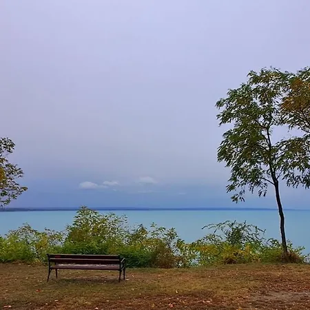 Napvirág - Közel Mindenhez Balatonakarattya
