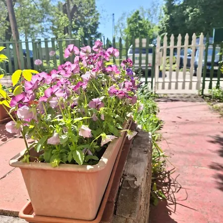 Apartman Napvirág - Közel Mindenhez