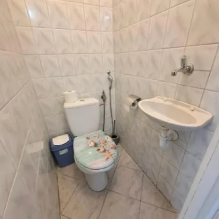 Napvirág - Közel Mindenhez *