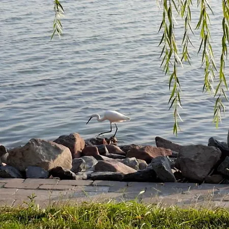 Napvirag - Koezel Mindenhez דירה