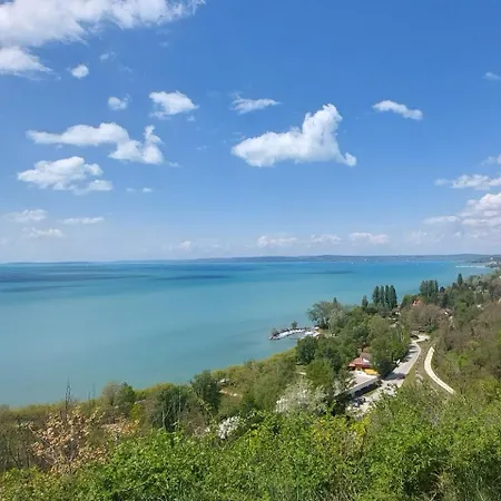 Napvirag - Koezel Mindenhez Daire *