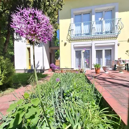 Napvirag - Koezel Mindenhez