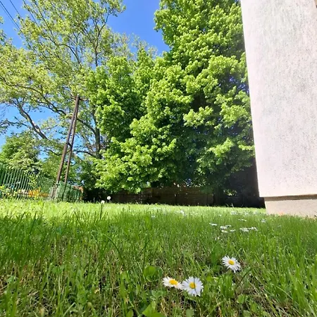 Napvirag - Koezel Mindenhez Apartman Balatonakarattya