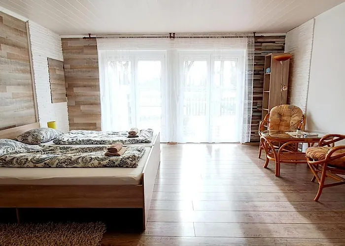 Napvirag - Koezel Mindenhez