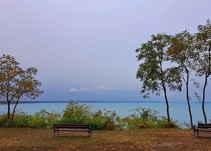 Napvirag - Koezel Mindenhez Balatonakarattya