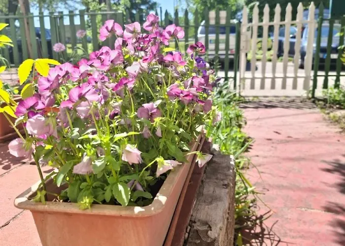 Apartmán Napvirag - Koezel Mindenhez