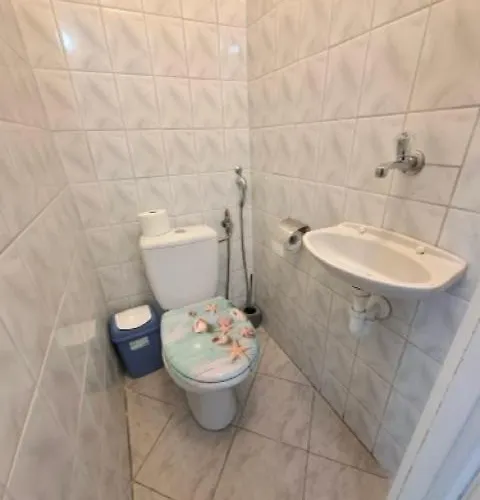 Napvirag - Koezel Mindenhez *