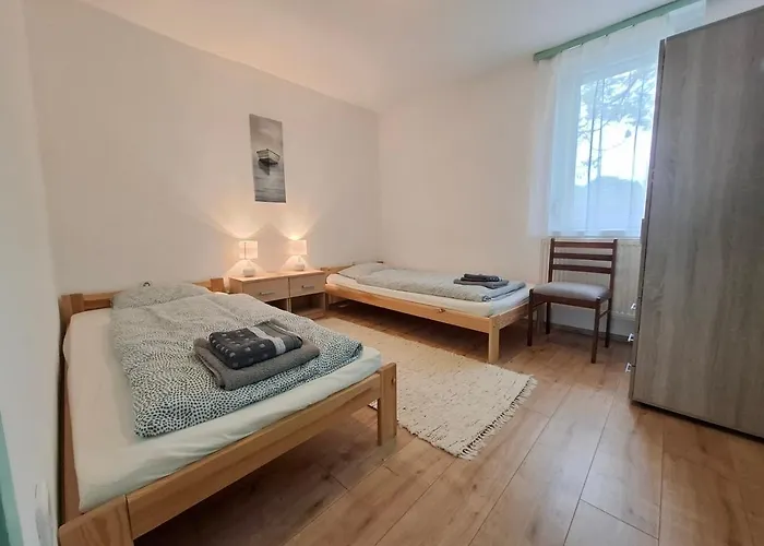 Napvirag - Koezel Mindenhez