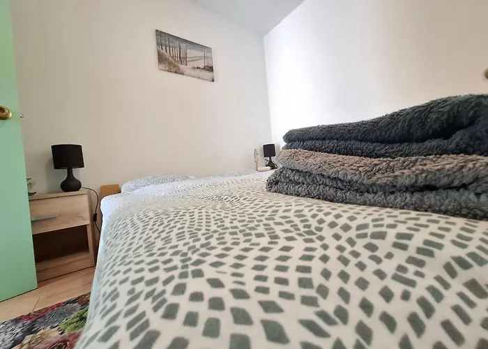 Napvirag - Koezel Mindenhez