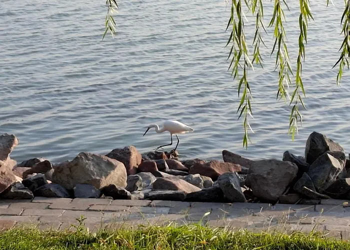 Napvirag - Koezel Mindenhez Apartmán