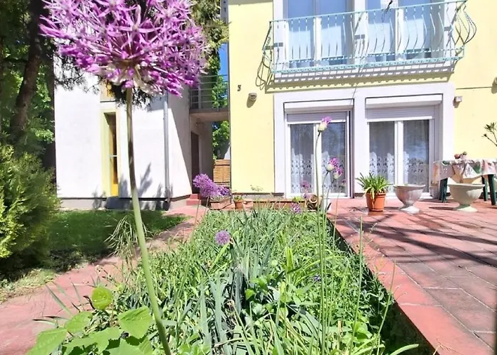 Napvirag - Koezel Mindenhez