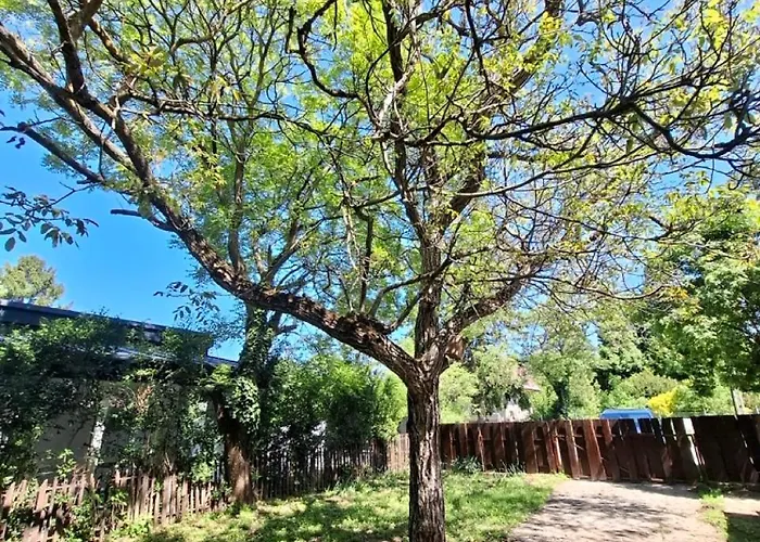 Napvirag - Koezel Mindenhez Apartmán *