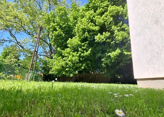 Napvirag - Koezel Mindenhez Apartament Balatonakarattya